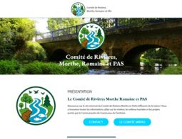 comite-romaine-75be5e